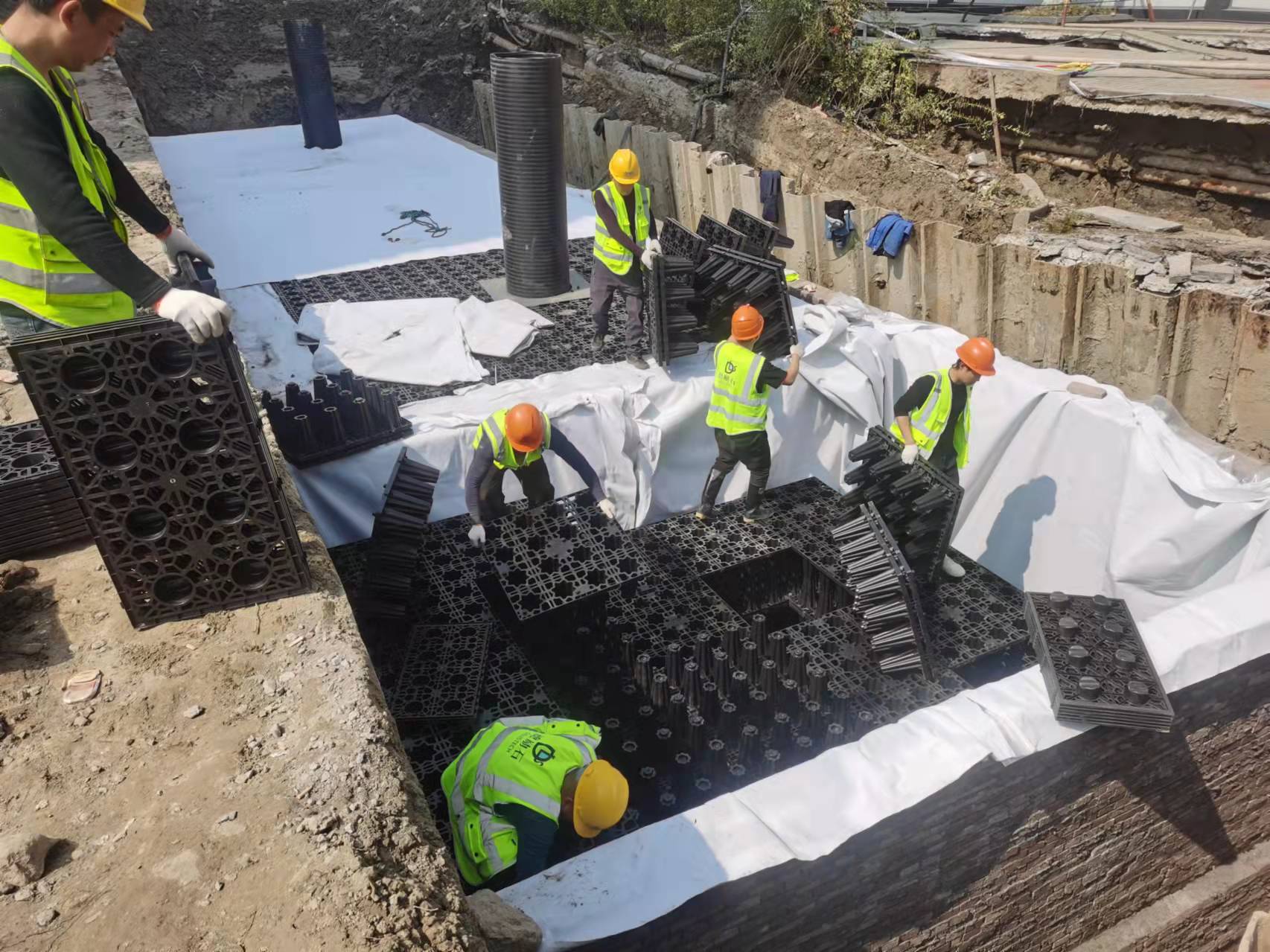 1647660353208779.jpg 5.jpg