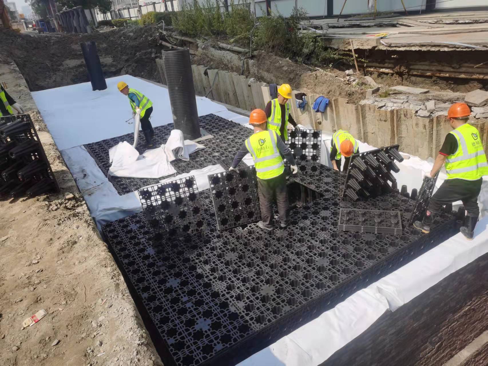 1647660356124007.jpg 6.jpg