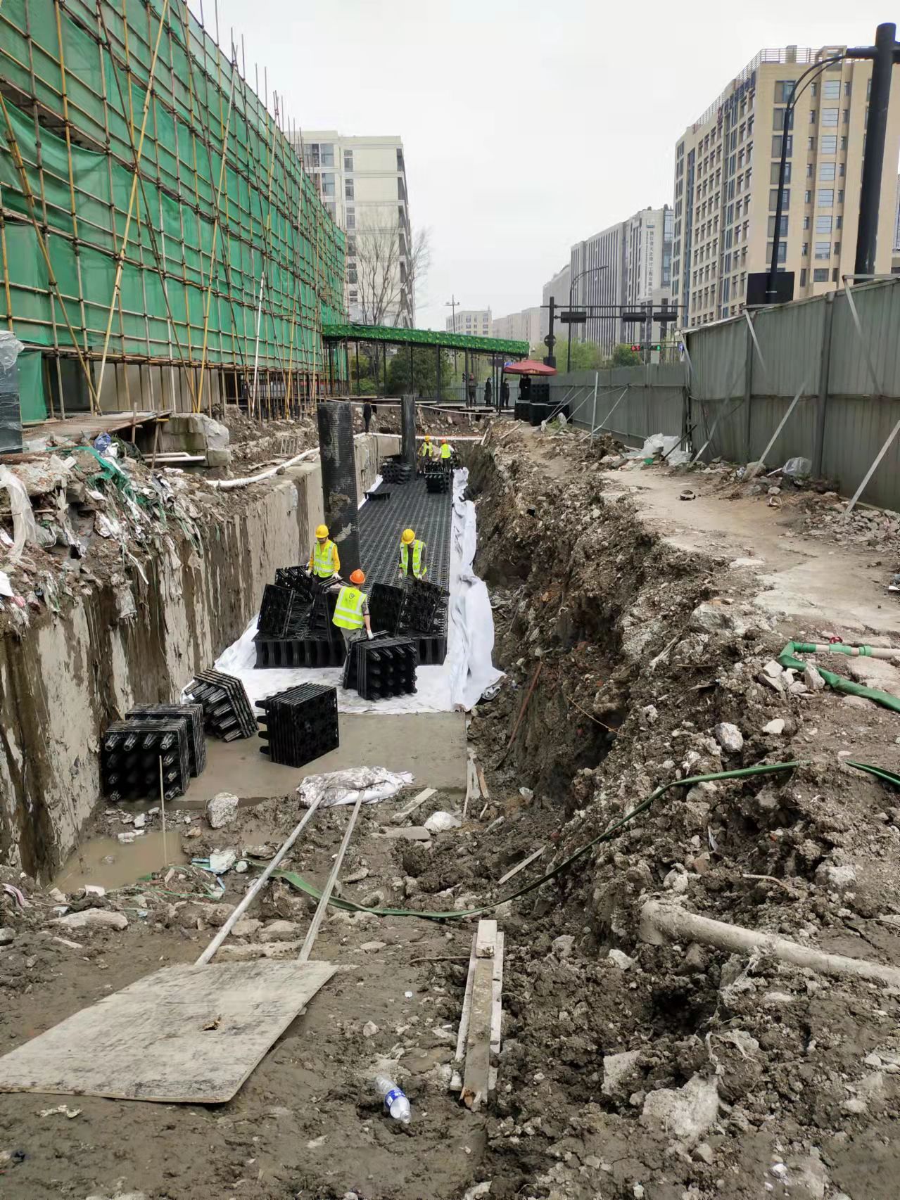 1648688520192998.jpg 1.jpg