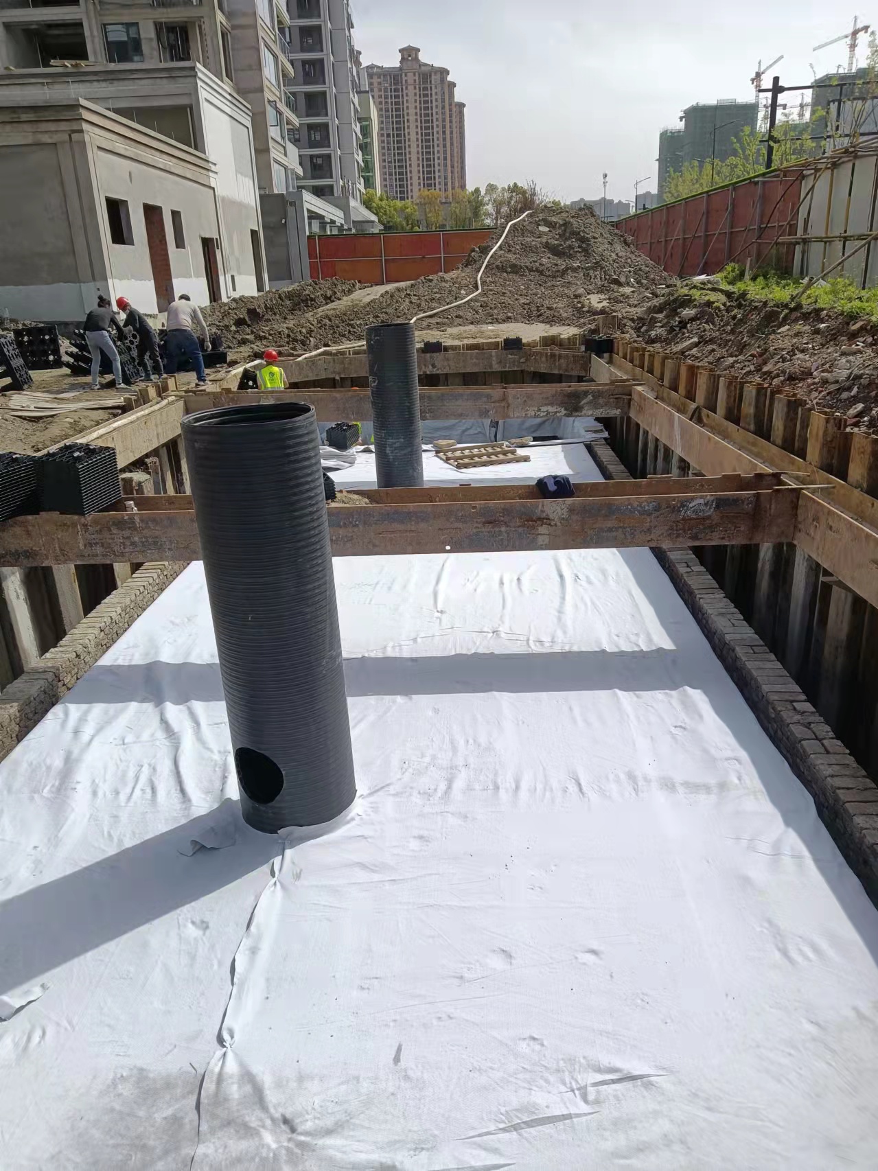 1649296966200783.jpg 33.jpg