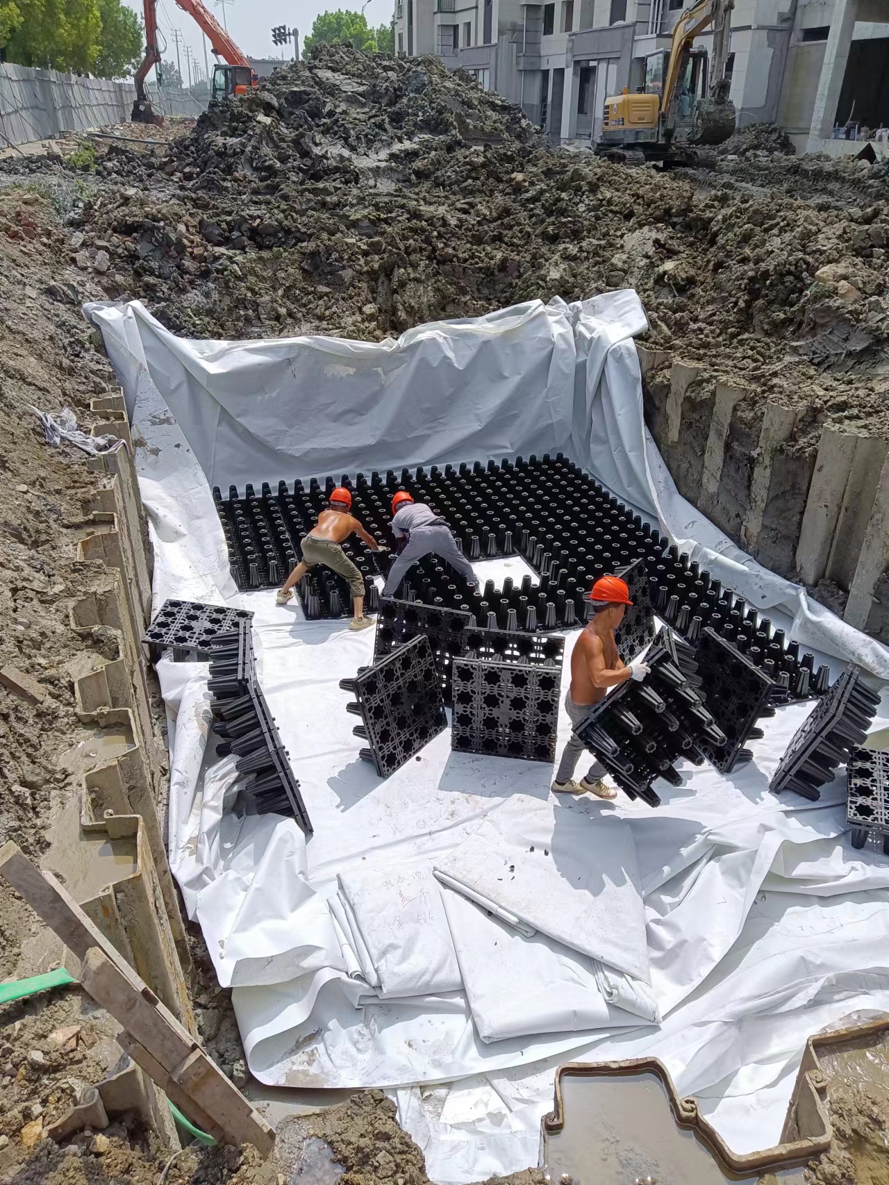 1664243329132525.jpg 3.jpg