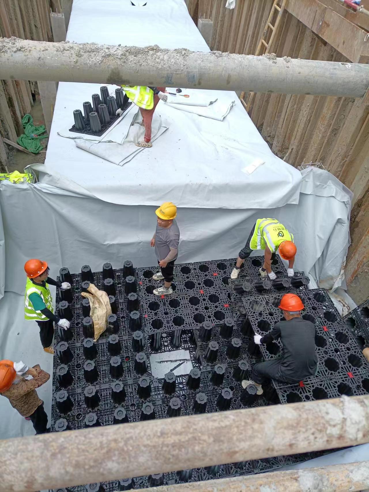 1689215897177871.jpg 10de8c26a5875c54e7037d1f695507e.jpg