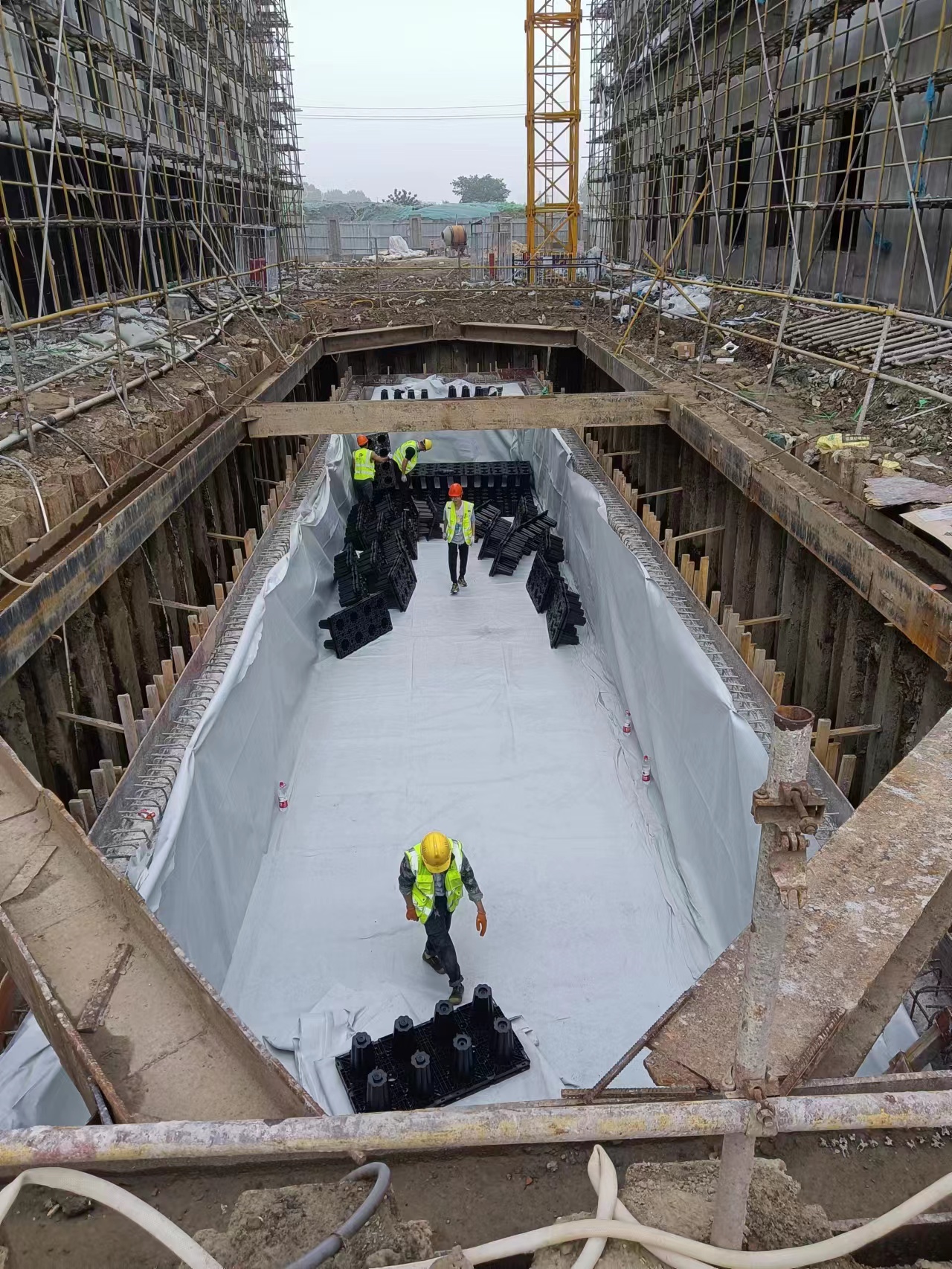 1689817637673455.jpg 2.jpg