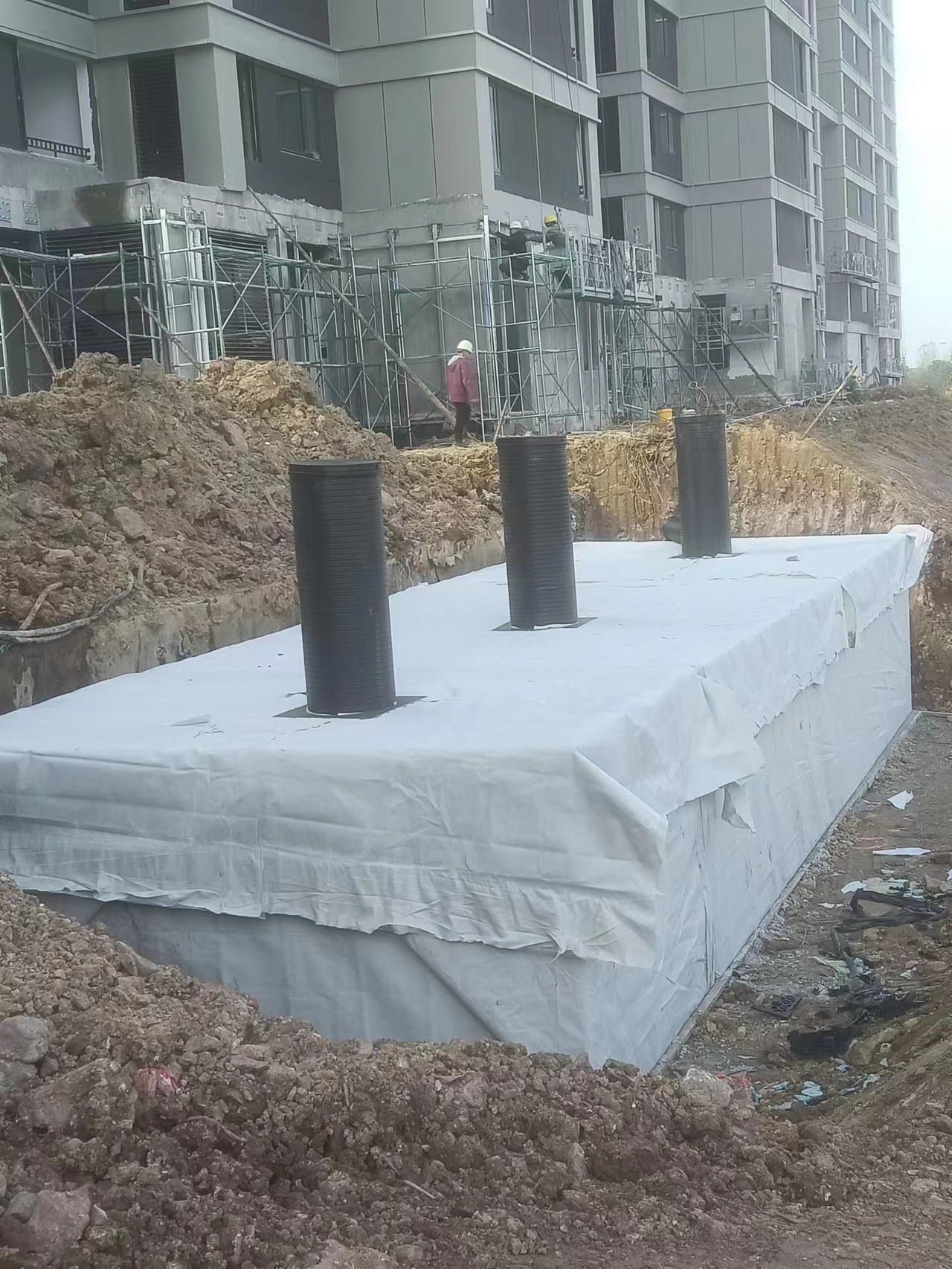 1702090742309642.jpg 4.jpg